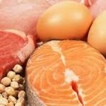 high protein diet